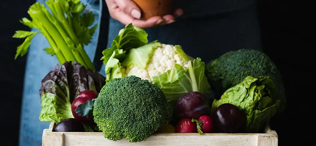 Fresh Farm Vegetables