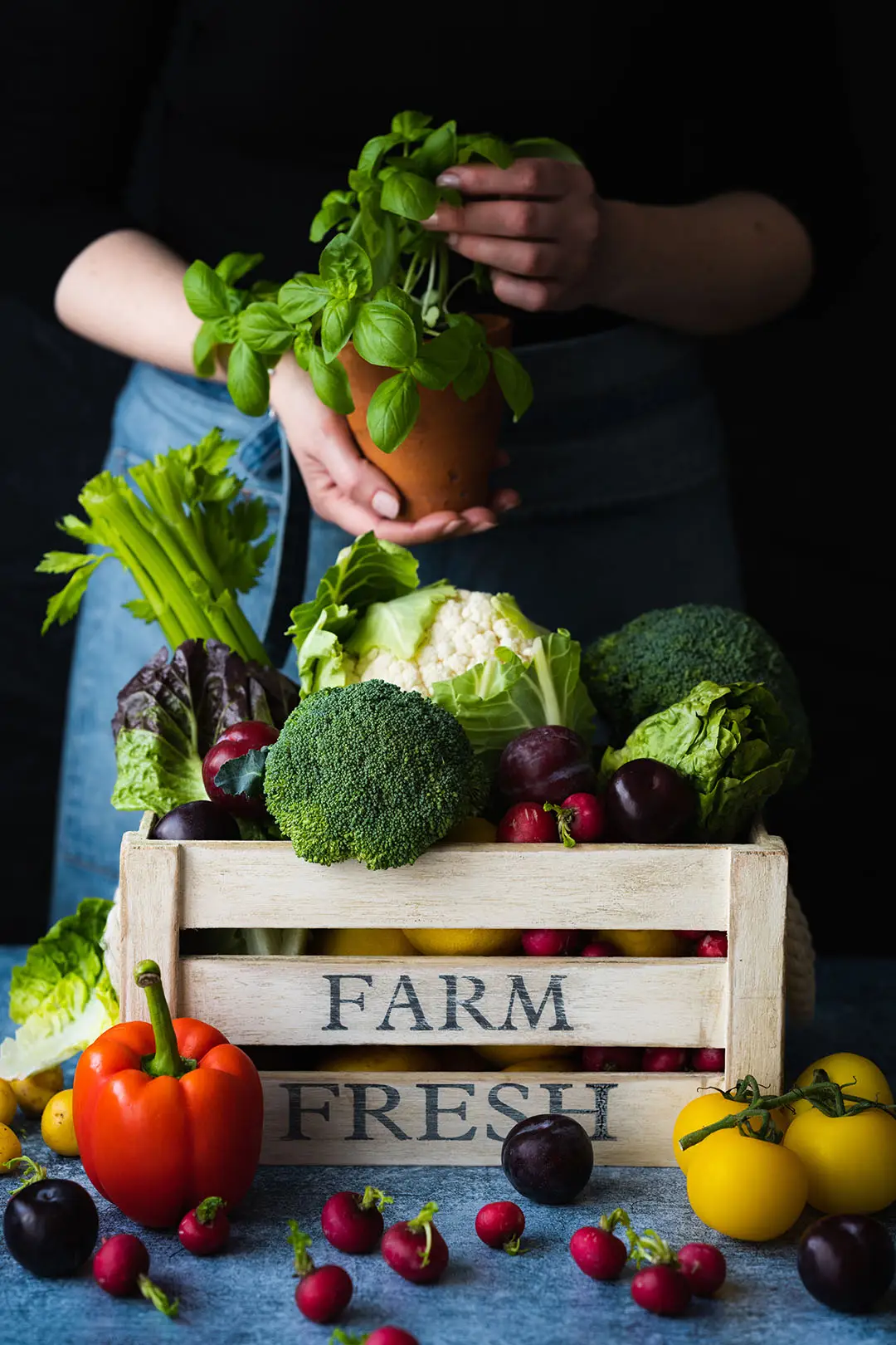 Fresh Farm Vegetables