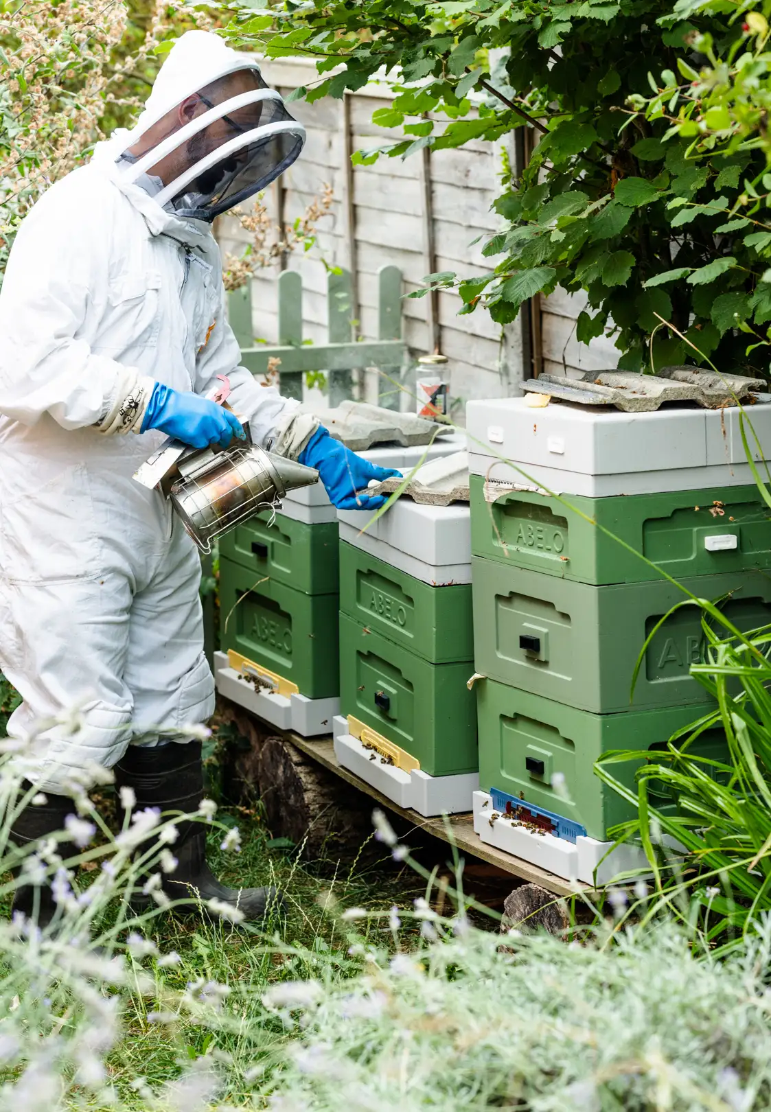 Hive Maintenance