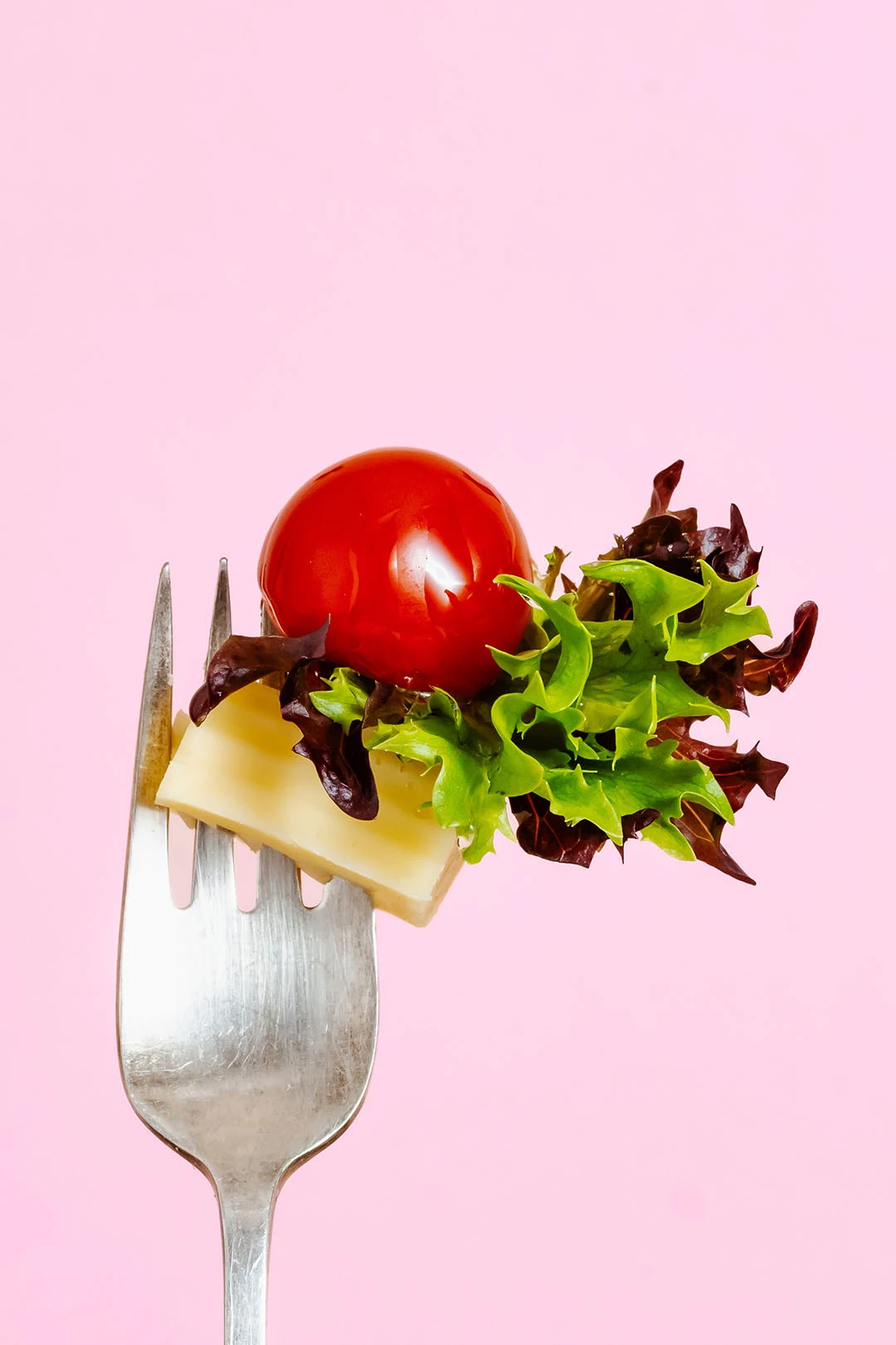 Macro Food on the Fork