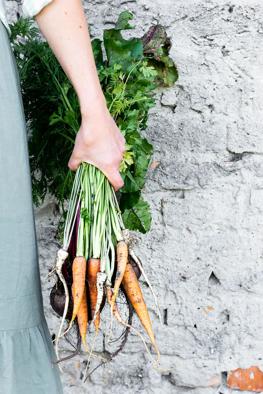 Harvested Vegetables
