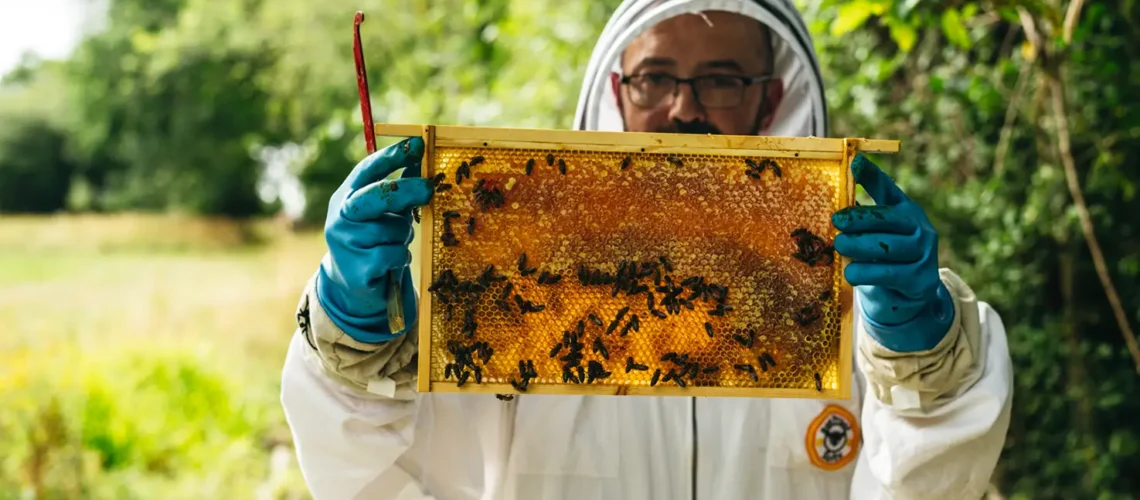 Beekeeper Life
