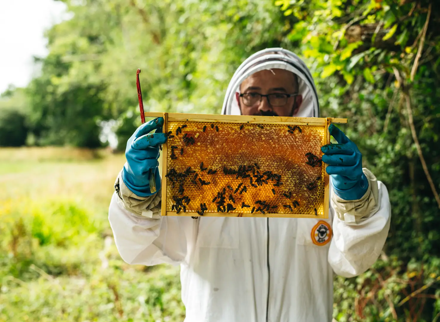 Beekeeper Life
