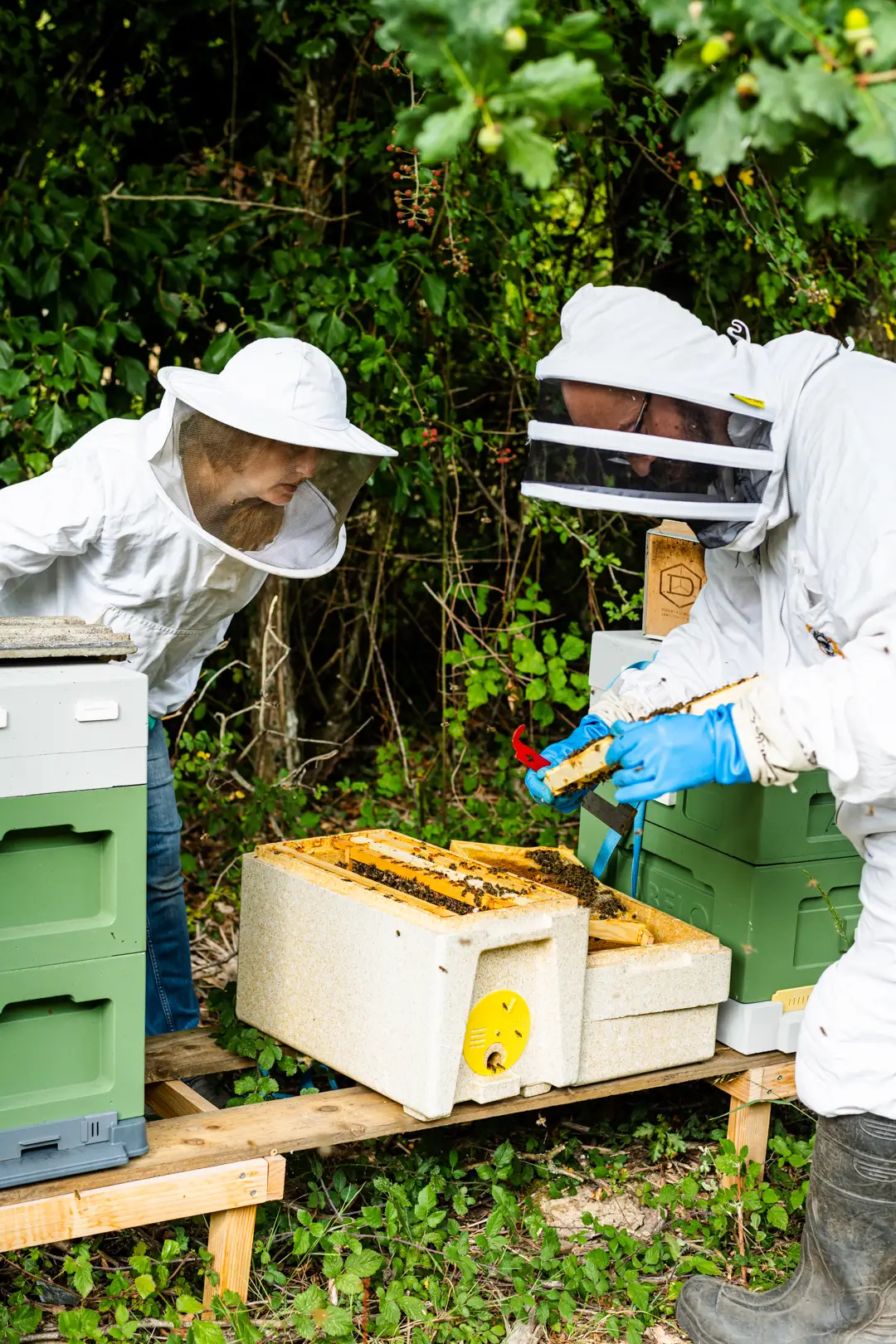 Beekeepers at work