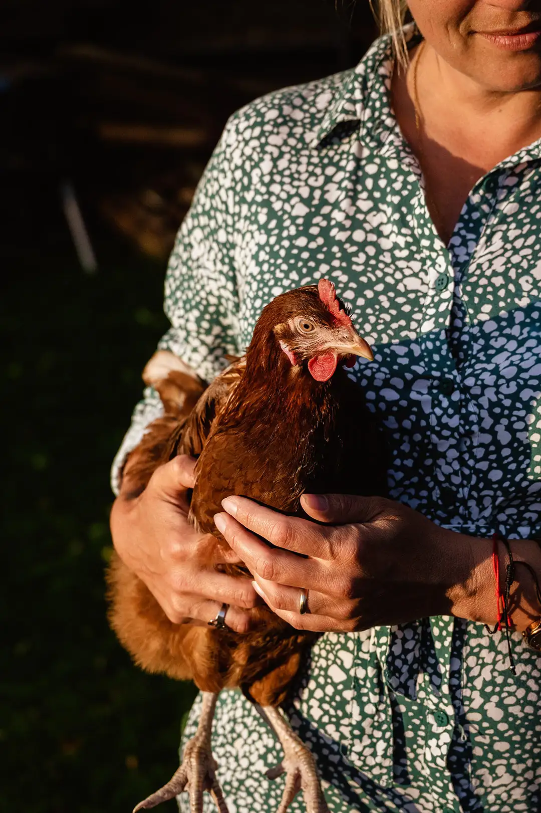 Handy Hen